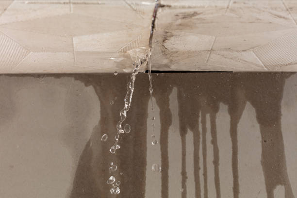 Professional Water Damage Repair technician working in Solvang, CA